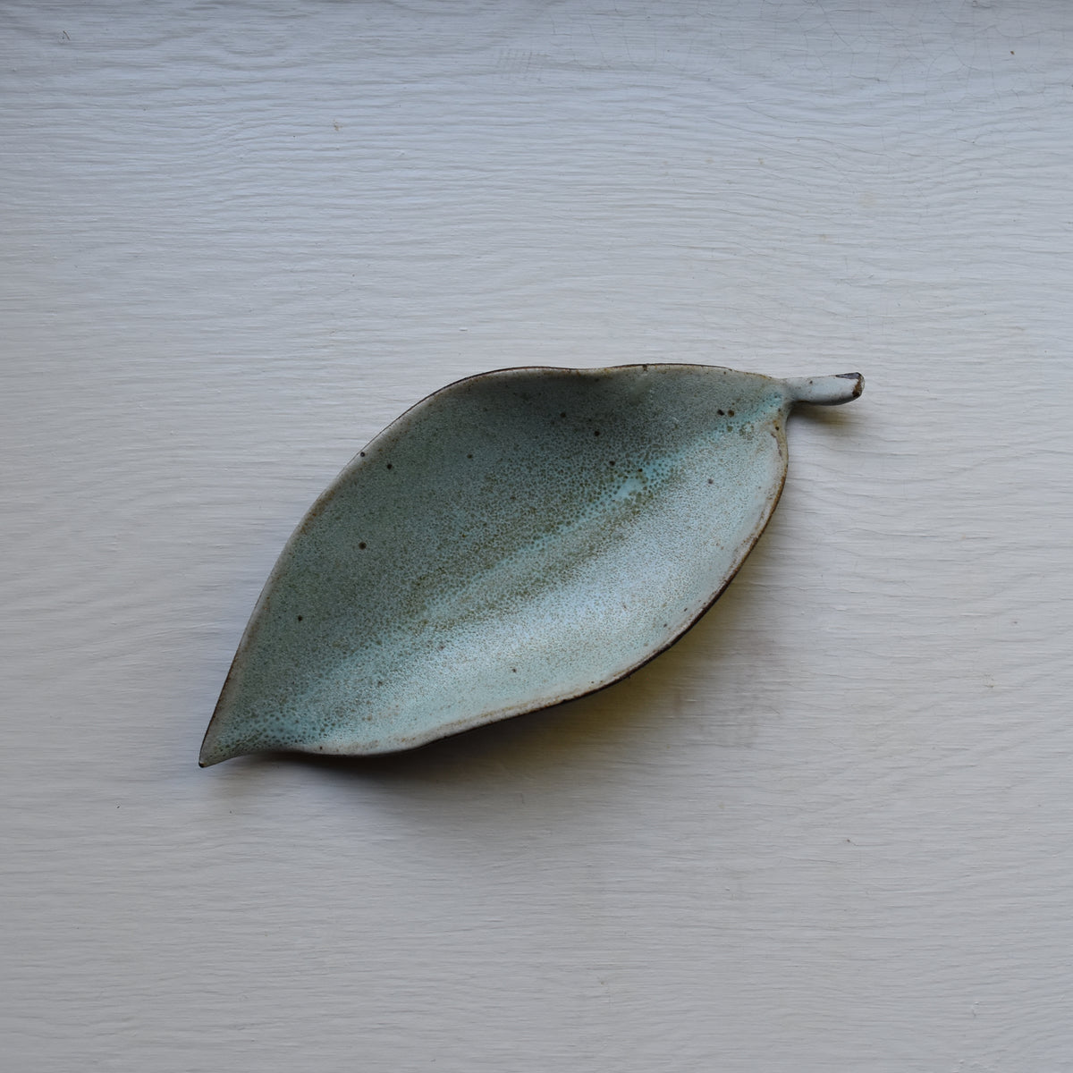 Lichen Tea Leaf
